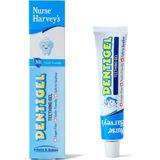 Kazan Hobi Nurse Harvey's Dentigel, 15GR