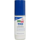 Kazan Hobi Sebamed Men Alüminyum Içermeyen Roll On Balsam 50 ml 1 Paket (1 x 50 Ml)
