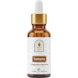 Kazan Hobi Tamanu Yağı 10 ML%100 Saf - Cilt Görünümü Düzenleyici ve Onarıcı Bakım