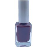 Kazan Hobi Tırnak Bakım Seti, Oje No 15 + 313, Kurutucu Parlatıcı Cila, 11 ml - Renkli