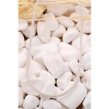 Kazaziye İşlemeli 50 Cm Gümüş Zincir Kolye 7391