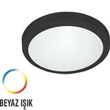 KeatLed Dekoratif 24W LED Glob Tavan Armatürü Beyaz Işık 25 Cm 2'li Paket Siyah Kasa - 6500K - Beyaz