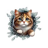 Kedi Araba Sticker 17cm Arka Cam İçin Uygun