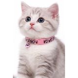 KEDİ BOYUN TASMASI ZİLLİ VE AYARLANABİLİR ALACA DESENLİ
