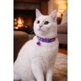 KEDİ BOYUN TASMASI ZİLLİ VE AYARLANABİLİR MOR