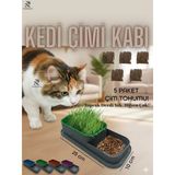 Kedi Çimi Kedi Otu Kedi Çimi Kabı 5 Paket Çim Tohumu Hediye