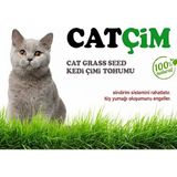 Kedi Çimi Tohumu 250 GR Arpa Buğday Yulaf. (3 lü Karışım) 250 GR %100 Doğal Ilaçsız