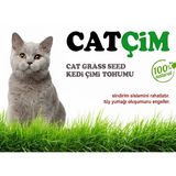 KEDİ ÇİMİ TOHUMU Arpa Buğday Yulaf. (3lü karışım)%100 Doğal İlaçsız, (500, Gram)