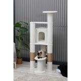 Kedi Evi, Kedi Oyun Evi , Kedi Tırmamala - Moskova