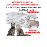 Kedi Kapanı Kedi Canlı Yakalama Zararsız Kedi Tuzağı Kedi Canlı Y