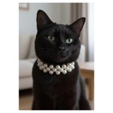 Kedi Kolyesi Tasma Ayarlanabilir Boncuk Beyaz İnci Sedefli Sesli Zilli