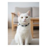 Kedi Kolyesi Tasma Ayarlanabilir Floş İp Beşiktaş Sesli Zilli