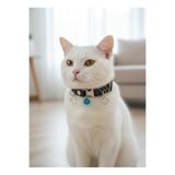 Kedi Kolyesi Tasma Ayarlanabilir Hakiki Deri Koyu Kahverengi Siyah Kalp Figürlü Sesli Zilli