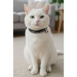 Kedi Kolyesi Tasma Ayarlanabilir Hakiki Deri Siyah Zincir Kombinli Sesli Zilli