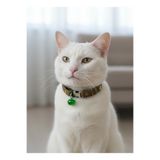 Kedi Kolyesi Tasma Ayarlanabilir Hakiki Deri Yeşil Sesli Zilli