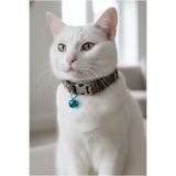 Kedi Kolyesi Tasma Ayarlanabilir Kolon Kordon Kamuflaj Sesli Zilli