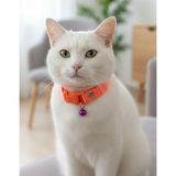 Kedi Kolyesi Tasma Ayarlanabilir Kolon Kordon Neon Turuncu Düz Sesli Zilli