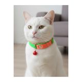 Kedi Kolyesi Tasma Ayarlanabilir Kolon Kordon Neon Turuncu & Yeşil Düz Sesli Zilli