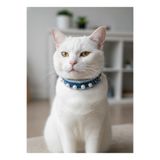 Kedi Kolyesi Tasma Ayarlanabilir Kot Lacivert Boncuklu Zincirli