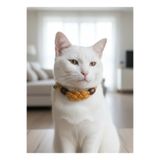 Kedi Kolyesi Tasma Ayarlanabilir Makrome İp Hardal Sarısı Sesli Zilli