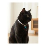 Kedi Kolyesi Tasma Ayarlanabilir Silindir Kolon Kordon Simli Metalik Gri Sesli Zilli