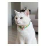 Kedi Kolyesi Tasma Ayarlanabilir Suni Deri Turkuaz Sarı Sesli Zilli