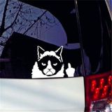 Kedi Komik Şaka Sticker Etiket Yapıştırma 19Cm