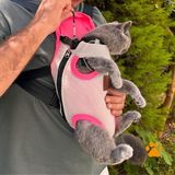 Kedi Köpek Ana Kucağı - Gri - Pembe - L