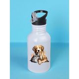 Kedi Köpek Baskılı Matara Suluk 600 ml - Sporcu Suluğu, Büyük Suluk, Spor Matara, Sporcu Sulukları