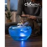 Kedi Köpek Cadopet Papatya Su Pınarı 2,5 Lt Işıklı