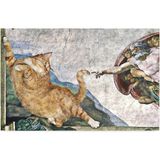 Kedi Köpek Komik Tasarımlı Dekoratif Kapı Önü Paspas, Dış Mekan/ev Içi/banyo/mutfak/yatak Odası/giriş Paspasları (Kedinin Yaratılışı, 45X70) - Abanoz