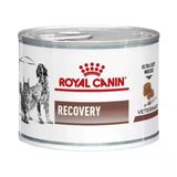 Kedi Köpek Recovery Konserve Yaş Mama 195 Gr
