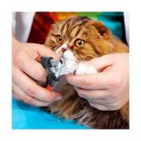 Kedi Köpek Tırnak Makası 12,3 cm - Çok Renkli