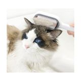 Kedi Köpek Tüy Toplama Tarağı - Renkli