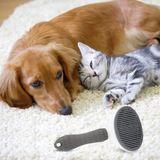 Kedi Köpek Tüy Toplayıcı Pet Tarak 20 Cm
