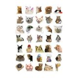 "Kedi Mood Sticker Seti" 35 Adet - Bullet Journal - Ajanda -Planner - Defter - Laptop-Tablet Için