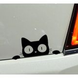 Kedi Oto Araba Sticker Yapıştırma