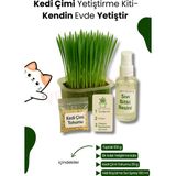 Kedi Otu Çimi Kiti – Evde Yetiştir, Pratik ve Eğlenceli Set