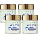 Kedi Otu Kremi 50 ml Kafur Ağacı Yağlı Paincream 4 Adet - Gizli