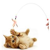 Kedi Oyun Oltası, Renkli Kedi Oyuncağı, Elastik Tüylü Pelüş Kedi Oyuncak, Kedi Oltası tüylü, Olta Eğitim Oltası(1 Adet)