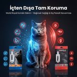 Kedi Pire Kene İç Dış Parazi.t