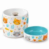 Kedi Porselen Su Pınarı ve Mama Kabı 2'li Set Otomatik Filtreli Pompalı Seramik Su Sebili, 1.3 L, 600 ml Kase, LED Işıklı, Turkuaz-kedi