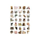 "kedi Seti" 35 Adet - Bullet Journal - Ajanda - - Defter - Laptop-Tablet Için - Option-1 - -50 C