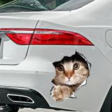 Kedi Sticker 01804