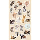 Kedi Sticker Telefon Laptop Notebook Tablet Defter Matara Stiker Etiket ST1243