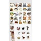 Kedi Sticker Telefon Laptop Notebook Tablet Defter Matara Stiker Etiket ST1259
