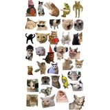 Kedi Sticker Telefon Laptop Notebook Tablet Defter Matara Stiker Etiket ST1411