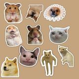 Kedi Sticker Telefon Laptop Notebook Tablet Defter Matara Stiker Etiket ST567