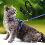 Kedi Tasması 24242406811