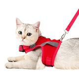 Kedi Tasması Göğüs Boyun Tasma Seti Sevk Kayışlı Terletmeyen Nefes Alan Reflektörlü Tasma M Kırmızı